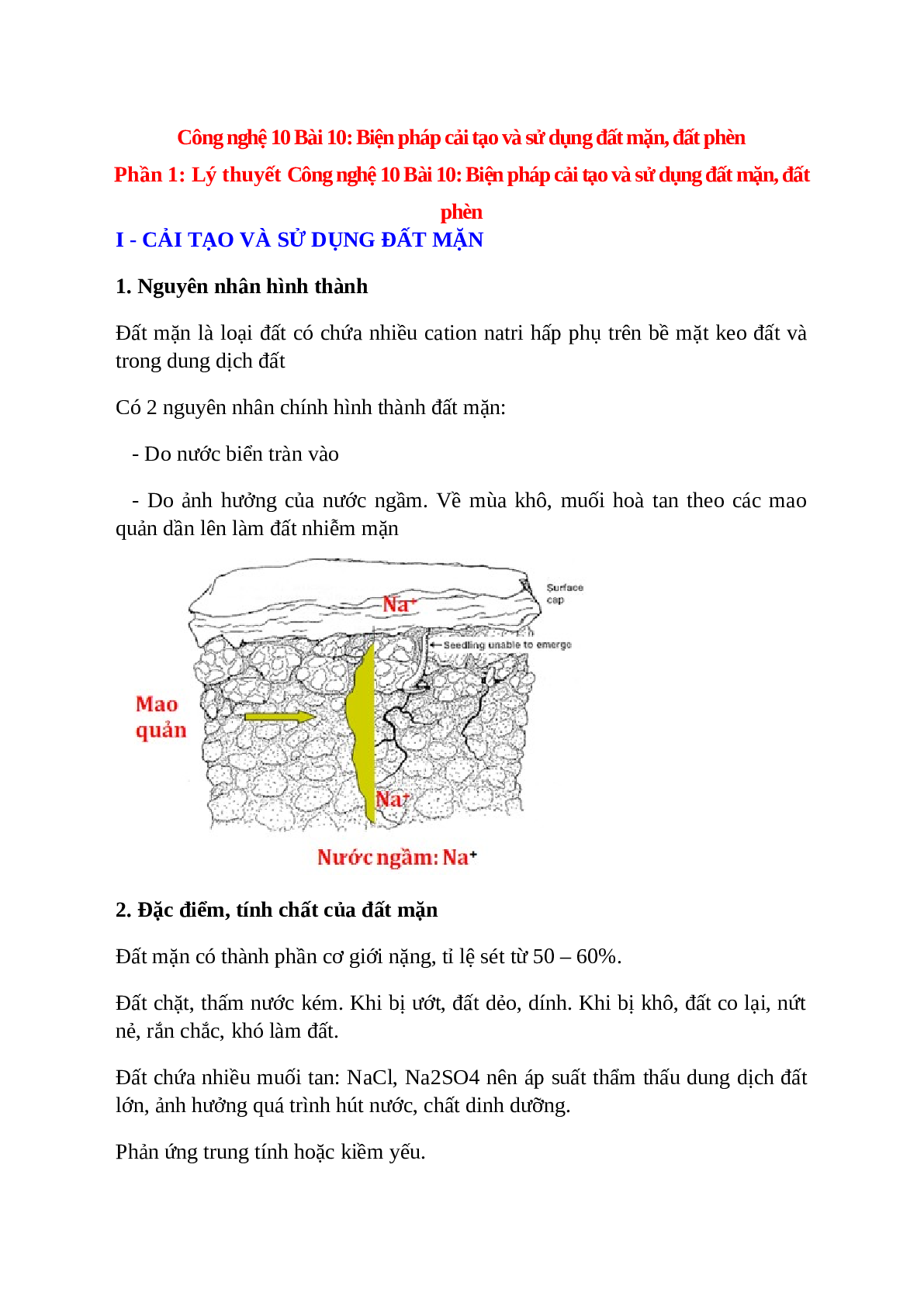 Công nghệ 10 Bài 10 (Lý thuyết và trắc nghiệm): Biện pháp cải tạo và sử dụng đất mặn, đất phèn (trang 1)