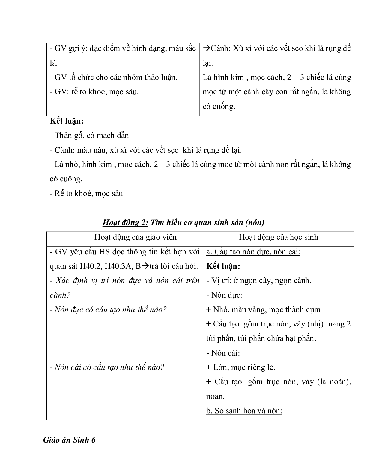 Giáo án Sinh học 6 Bài 40: Hạt trần - Cây thông mới nhất - CV5512 (trang 2)