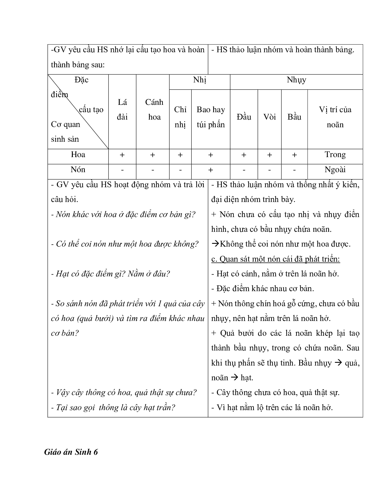 Giáo án Sinh học 6 Bài 40: Hạt trần - Cây thông mới nhất - CV5512 (trang 3)