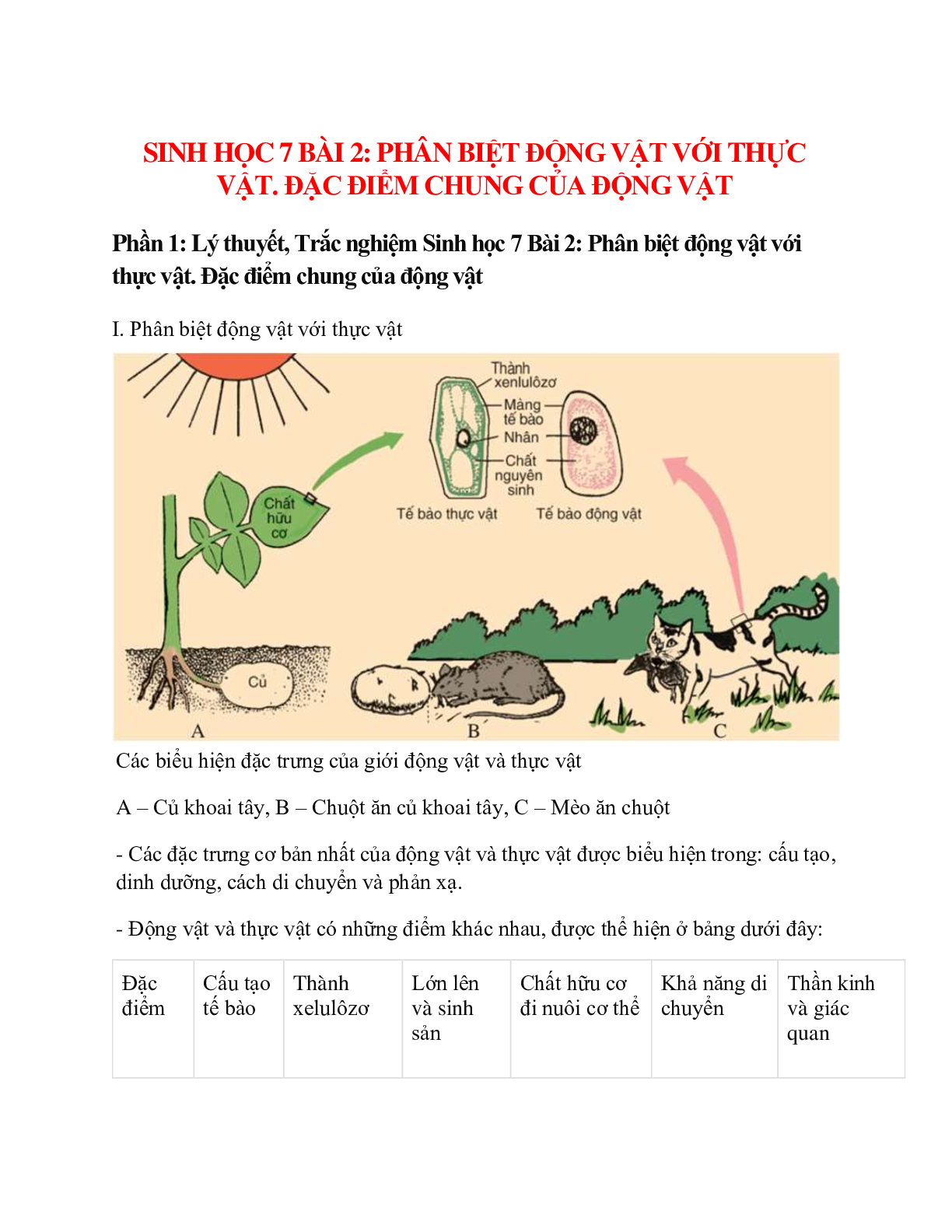 Sinh học 7 Bài 2: Phân biệt động vật với thực vật. Đặc điểm chung của động vật (trang 1)