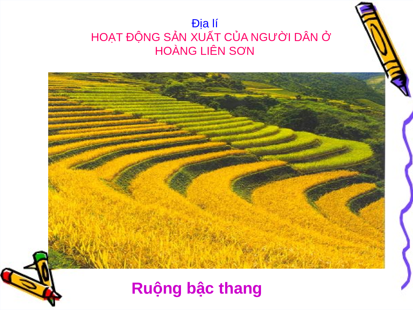 Giáo án Địa lý lớp 4 Bài 3: Hoạt động sản xuất của người dân ở Hoàng Liên Sơn (trang 3)