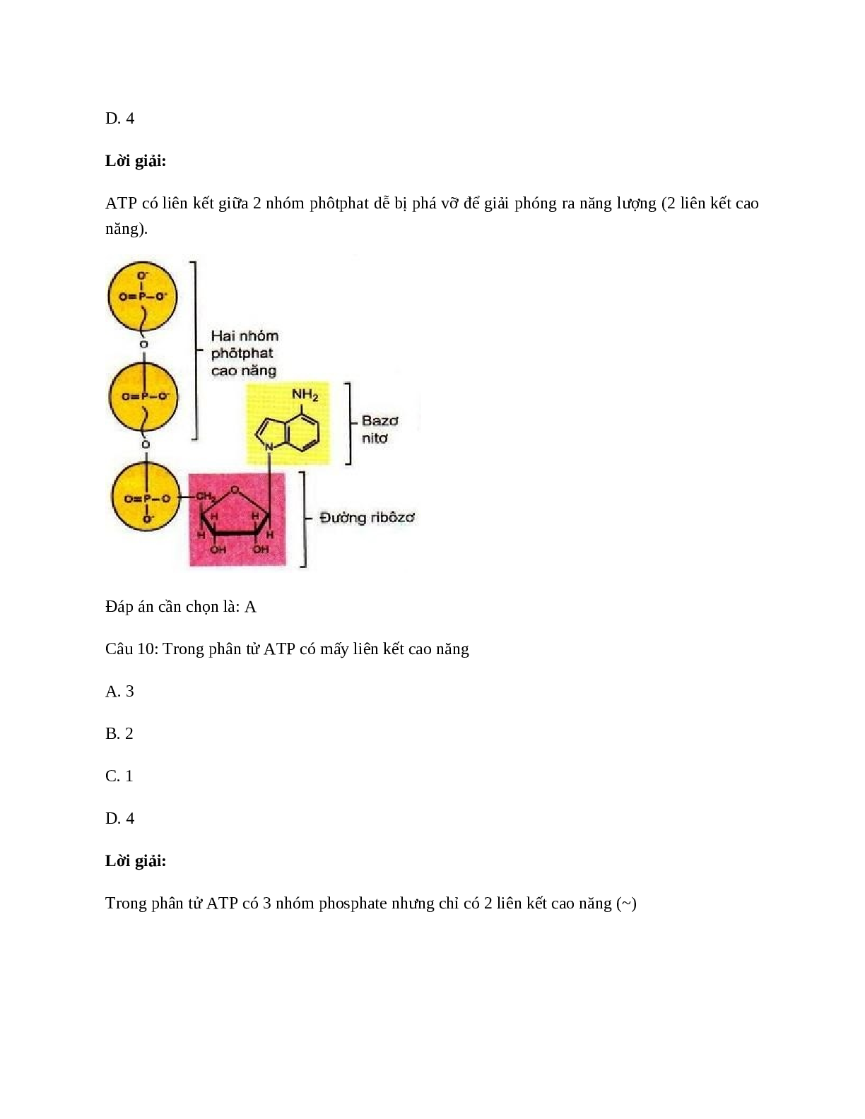 Sinh học 10 Bài 13 (Lý thuyết và trắc nghiệm): Khái quát về năng lượng và chuyển hóa vật chất (trang 6)