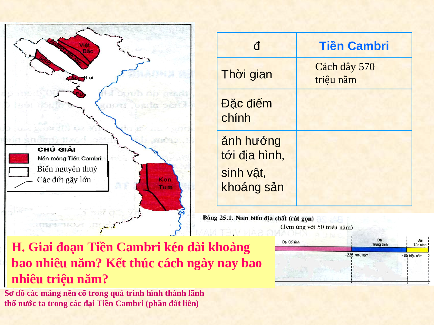 Giáo án Địa lí 8 Bài 25: Lịch sử phát triển của tự nhiên Việt Nam (trang 5)