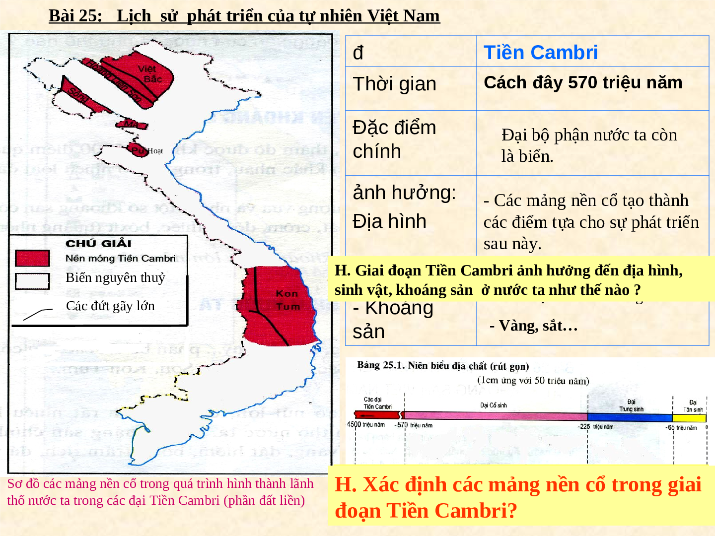 Giáo án Địa lí 8 Bài 25: Lịch sử phát triển của tự nhiên Việt Nam (trang 6)