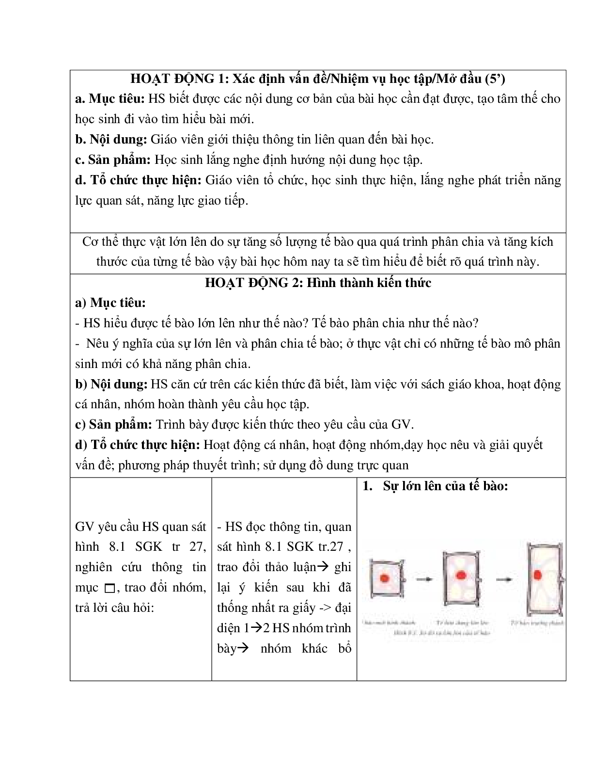 Giáo án Sinh học 6 Bài 8: Sự lớn lên và phân chia của tế bào mới nhất - CV5555 (trang 2)