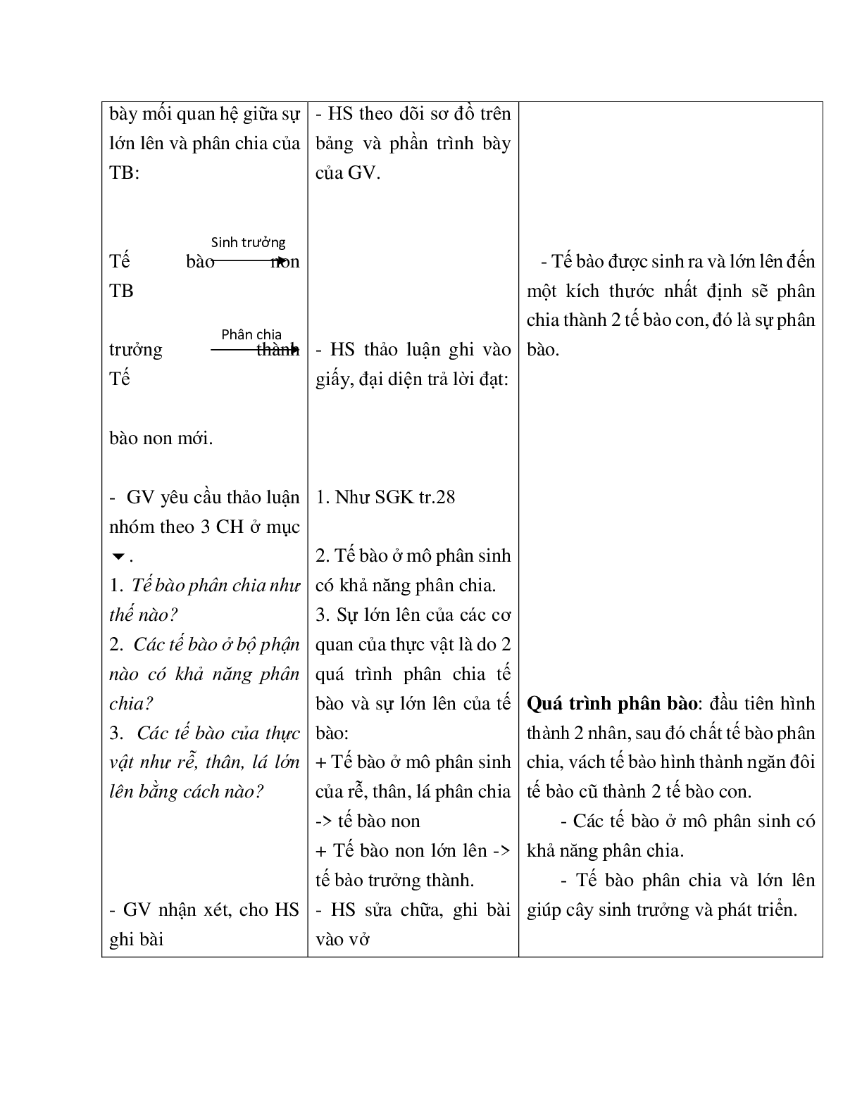 Giáo án Sinh học 6 Bài 8: Sự lớn lên và phân chia của tế bào mới nhất - CV5555 (trang 4)