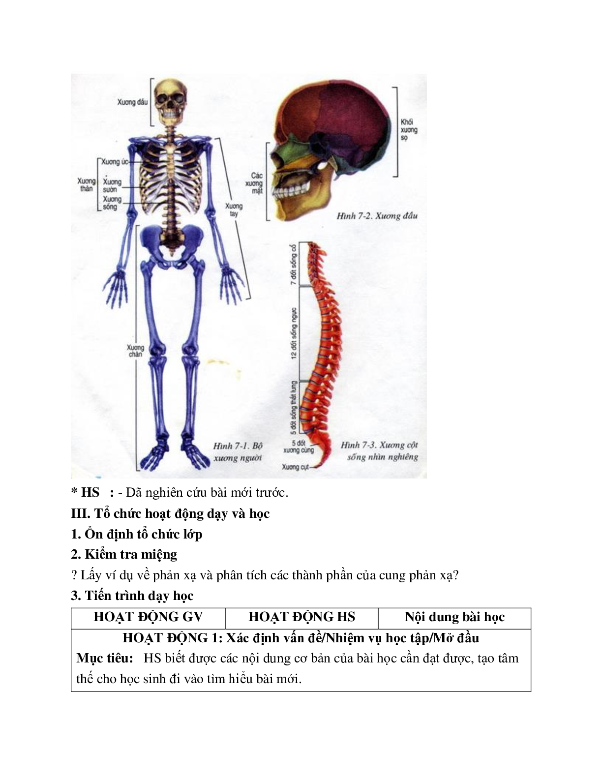 Giáo án Sinh học 8 Bài 7: Bộ xương mới nhất - CV5512 (trang 6)