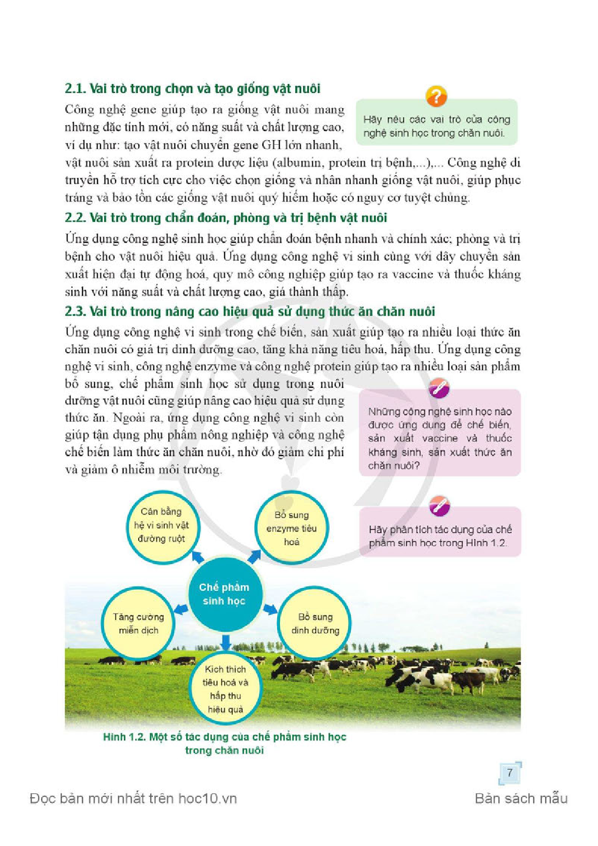 Chuyên đề học tập Công nghệ chăn nuôi 11 Cánh diều pdf (trang 9)