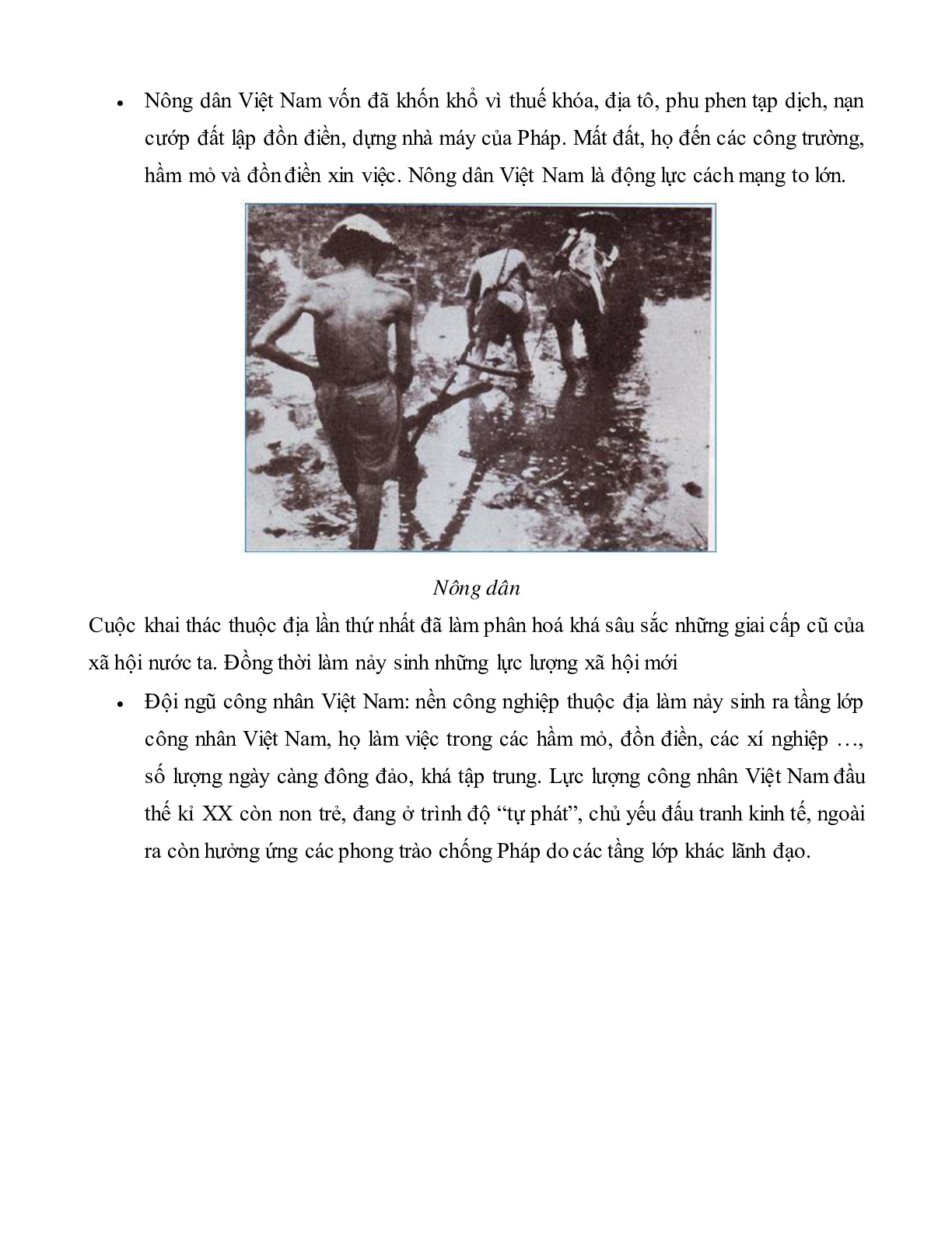 Lý thuyết Lịch sử 11: Bài 22:  Xã hội Việt Nam trong cuộc khai thác lần thứ nhất của thực dân Pháp mới nhất (trang 3)
