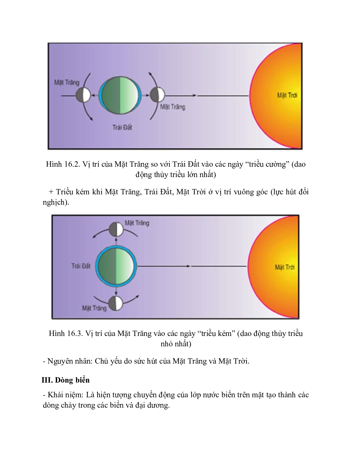 Địa Lí 10 Bài 16 (Lý thuyết và trắc nghiệm): Sóng. Thủy triều. Dòng biển (trang 2)