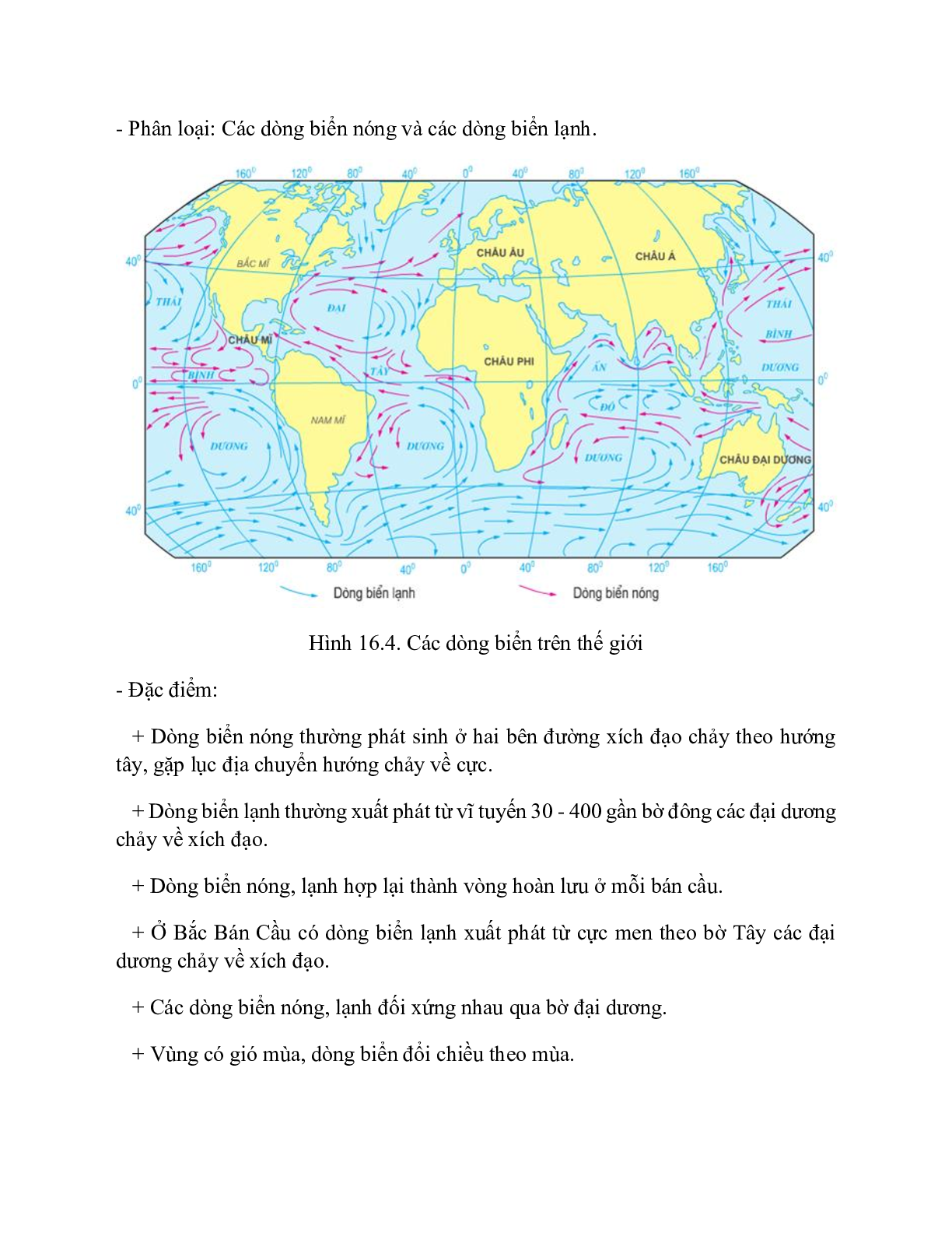 Địa Lí 10 Bài 16 (Lý thuyết và trắc nghiệm): Sóng. Thủy triều. Dòng biển (trang 3)