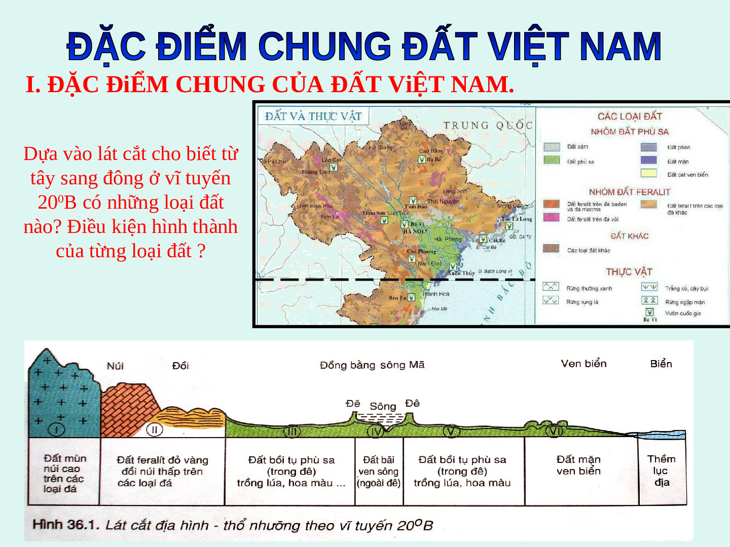Giáo án Địa lí 8 Bài 36: Đặc điểm chung đất nước Việt Nam (trang 3)