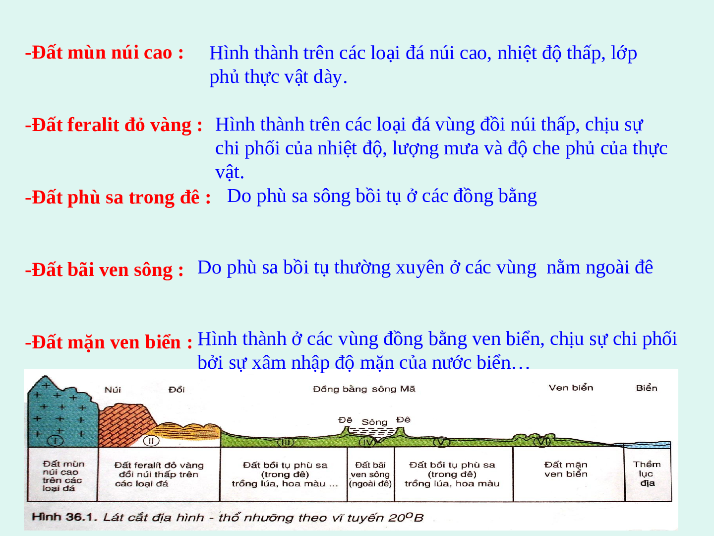 Giáo án Địa lí 8 Bài 36: Đặc điểm chung đất nước Việt Nam (trang 4)