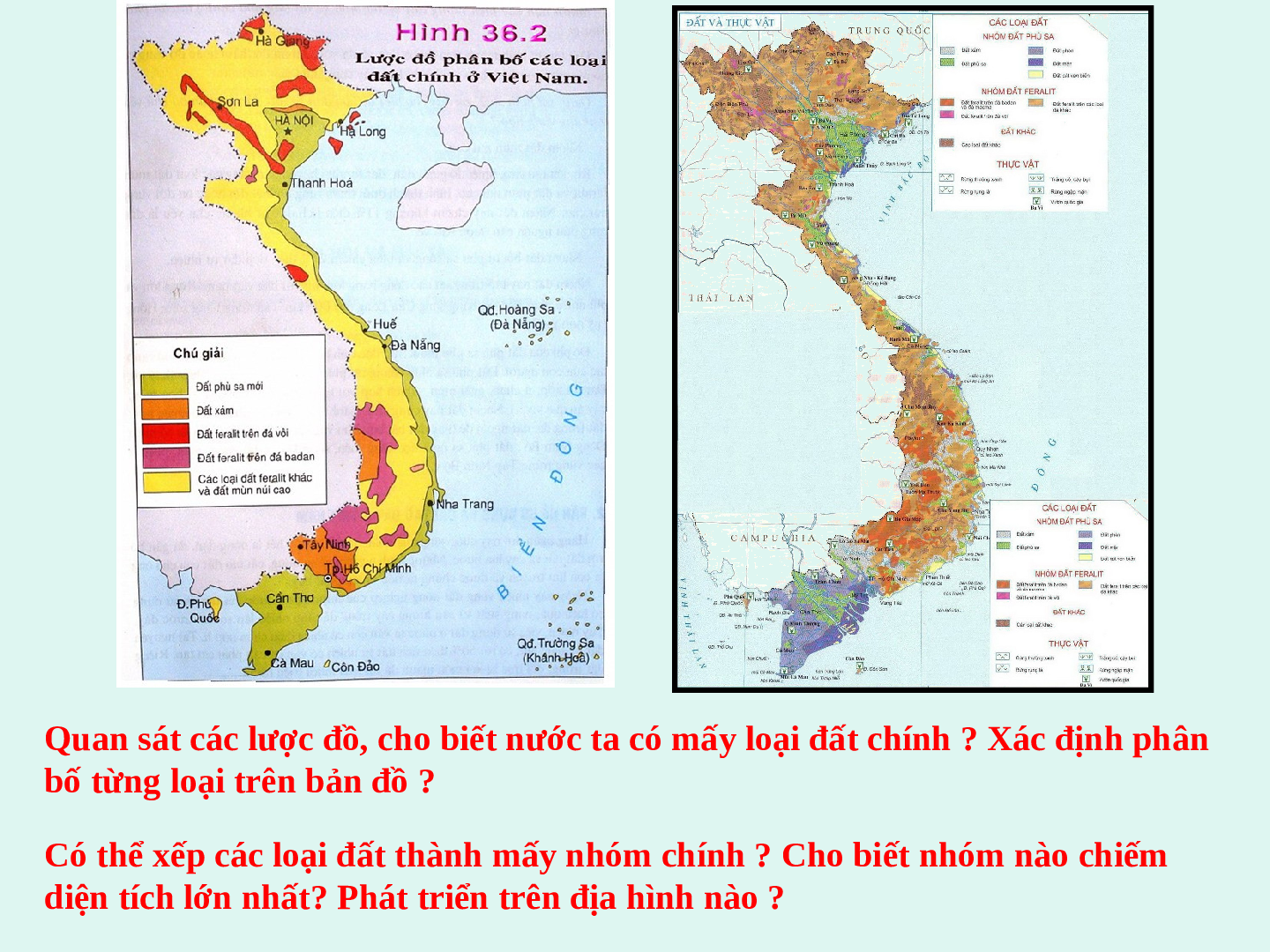 Giáo án Địa lí 8 Bài 36: Đặc điểm chung đất nước Việt Nam (trang 6)
