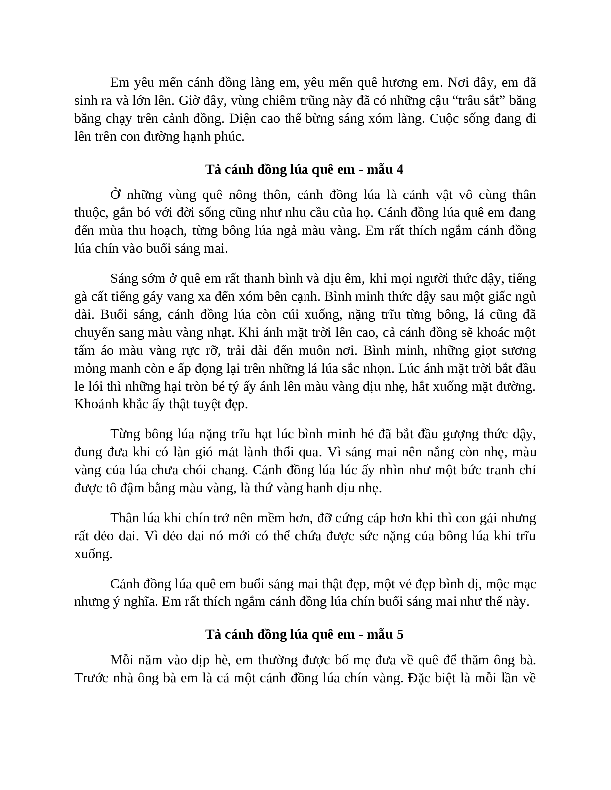 TOP 51 bài Tả cánh đồng lúa quê em SIÊU HAY (trang 4)