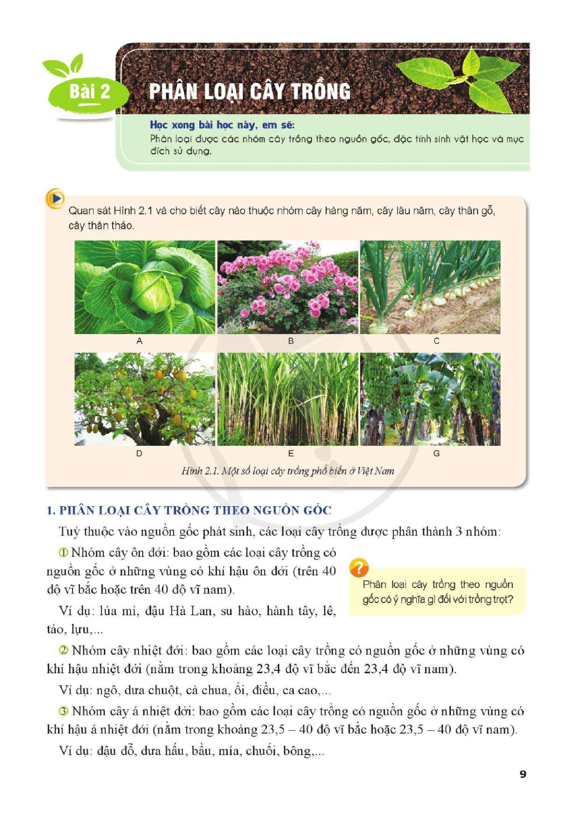 Công nghệ lớp 10 Công nghệ trồng trọt Cánh diều pdf (trang 10)
