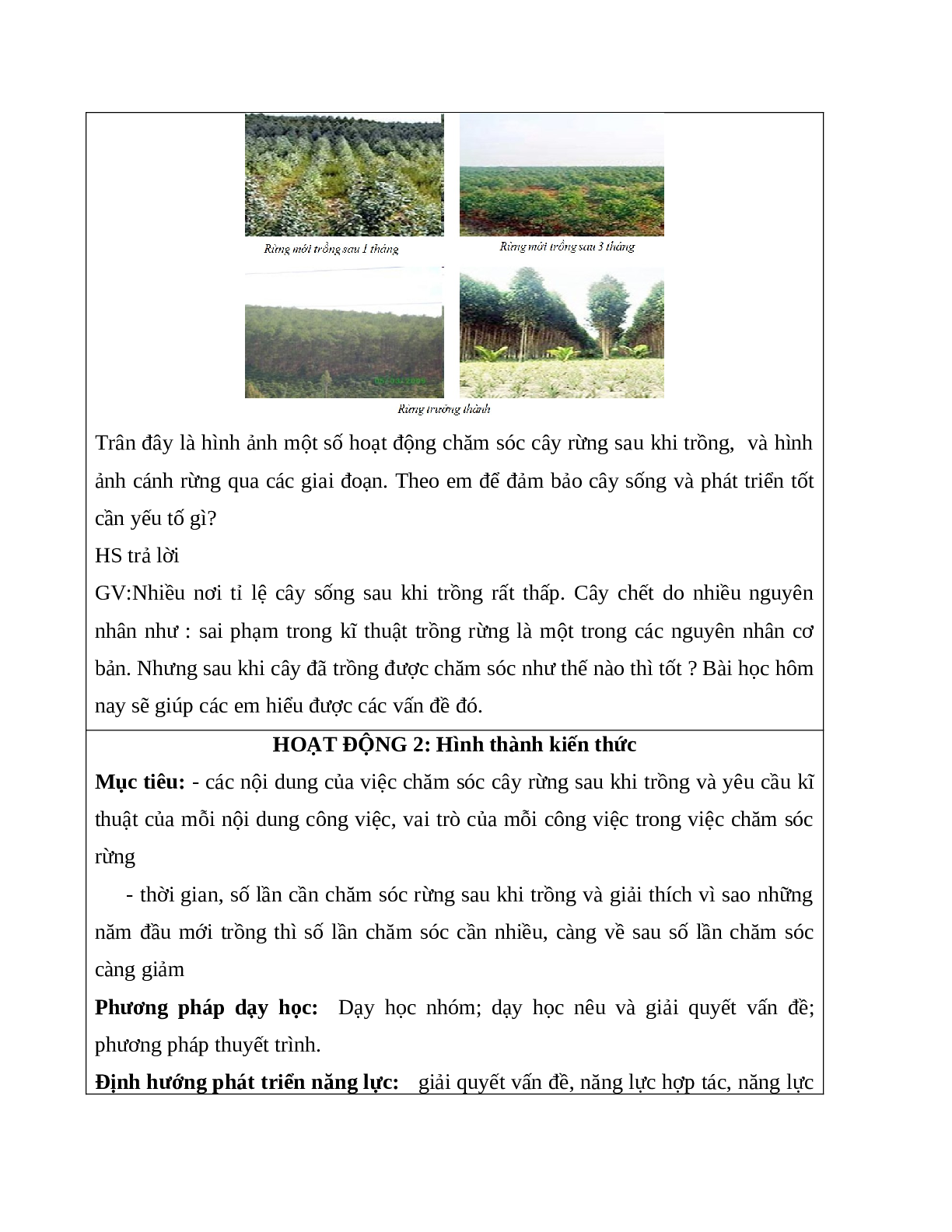 Giáo án Công Nghệ 7 Bài 27: Chăm sóc rừng sau khi trồng mới nhất - CV5512 (trang 3)
