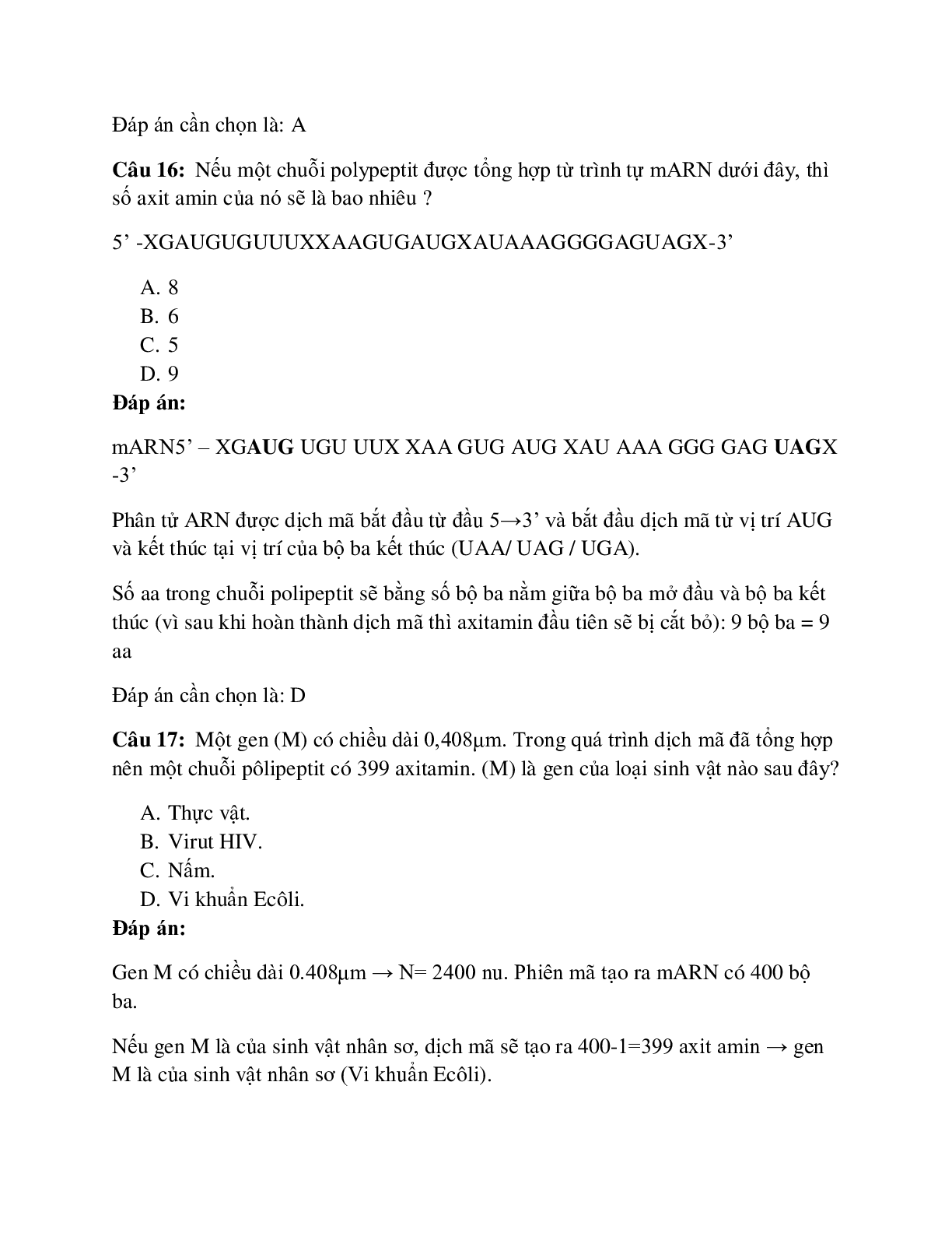 29 câu Trắc nghiệm Sinh học lớp 12 Bài 2 có đáp án 2023: Các dạng bài tập về quá trình dịch mã (trang 9)