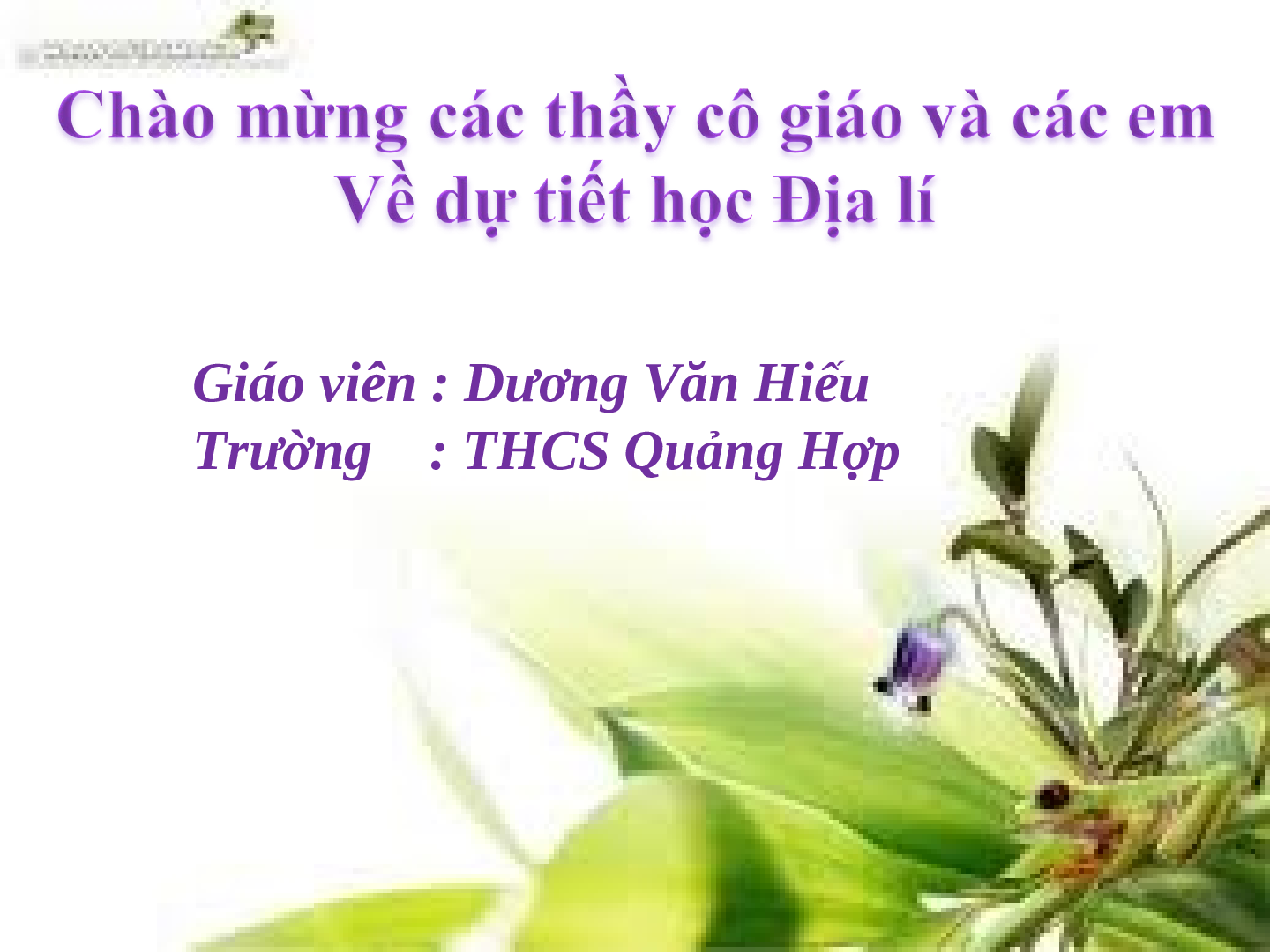 Bài giảng Địa lí 7 Tiết 15: Hoạt động nông nghiệp đới ôn hòa (trang 1)