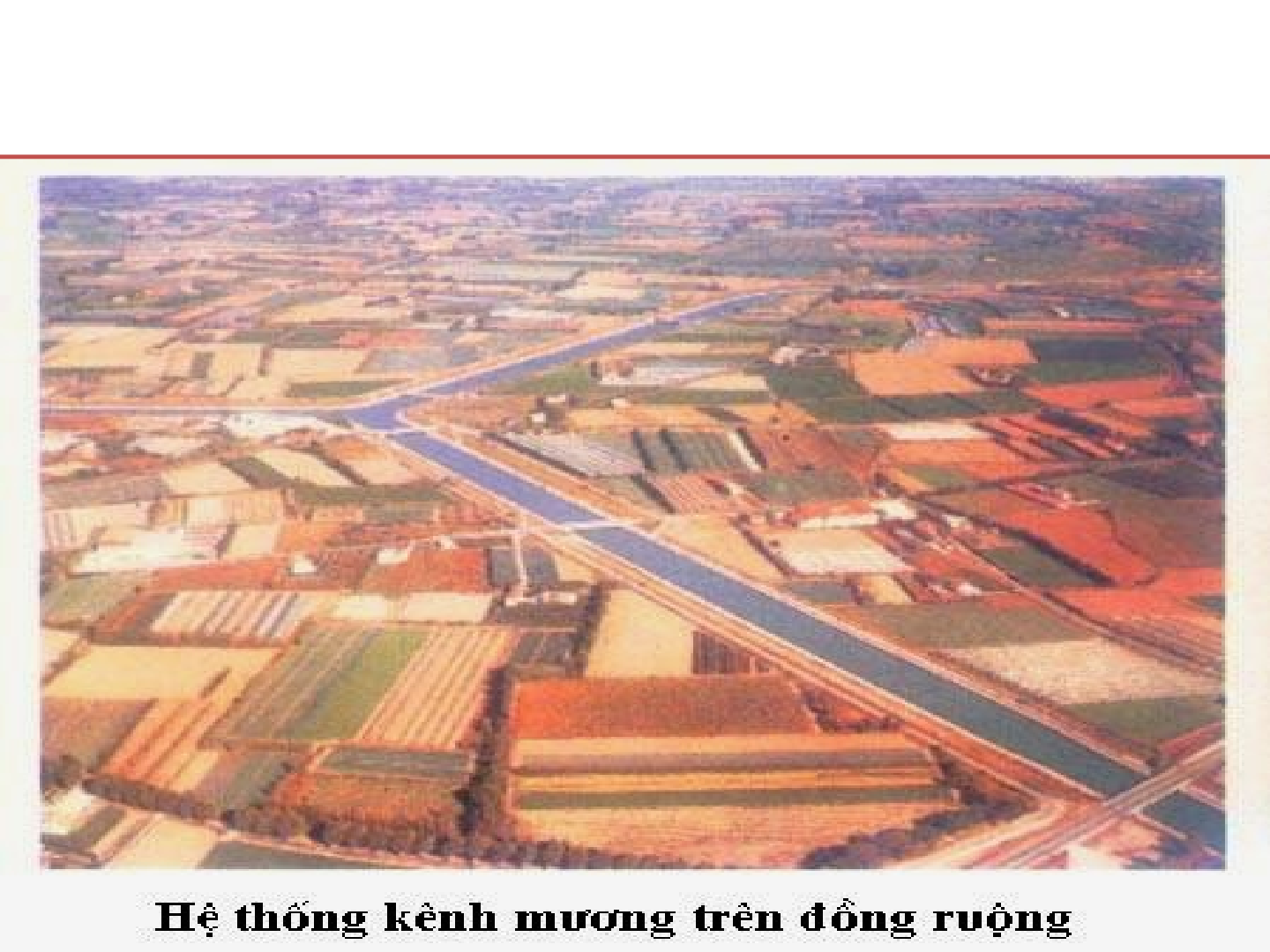 Bài giảng Địa lí 7 Tiết 15: Hoạt động nông nghiệp đới ôn hòa (trang 7)