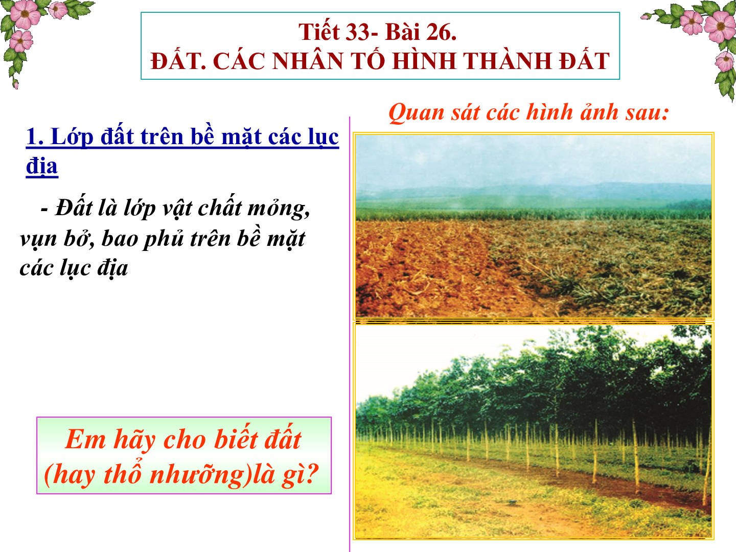 Bài giảng Địa lí 6 Tiết 32: Đất và Các nhân tố hình thành đất (trang 3)