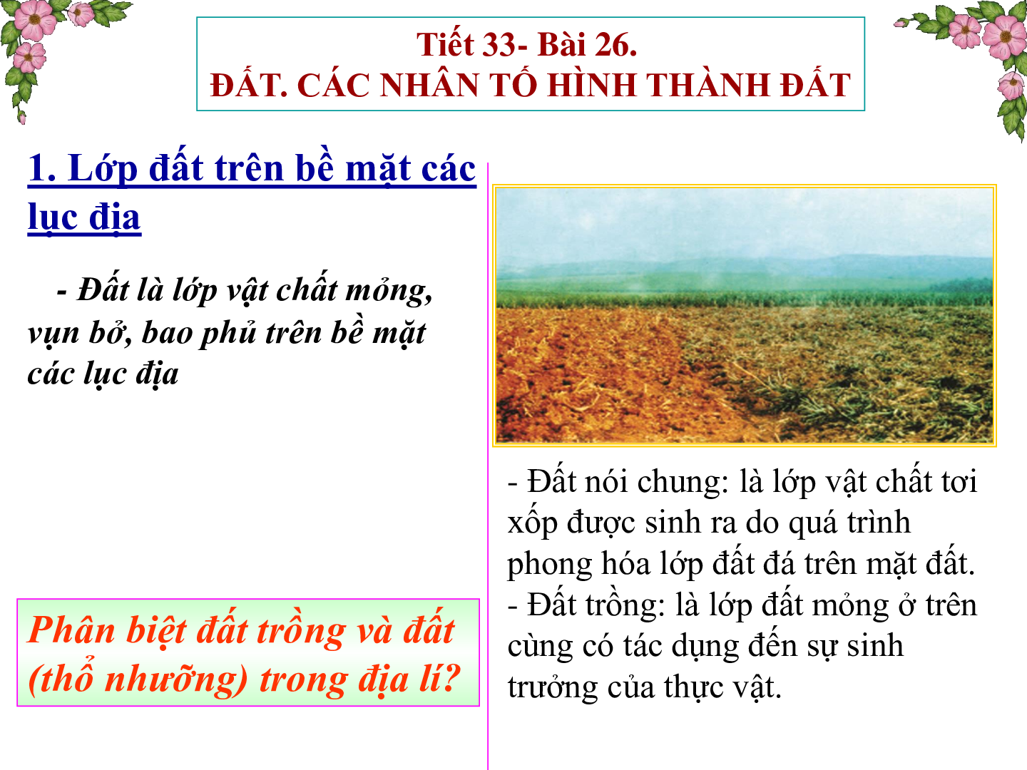Bài giảng Địa lí 6 Tiết 32: Đất và Các nhân tố hình thành đất (trang 4)