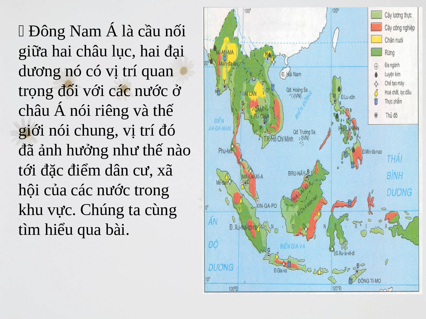 Giáo án Địa lí 8 Bài 15: Đặc điểm dân cư xã hội Đông Nam Á (trang 2)
