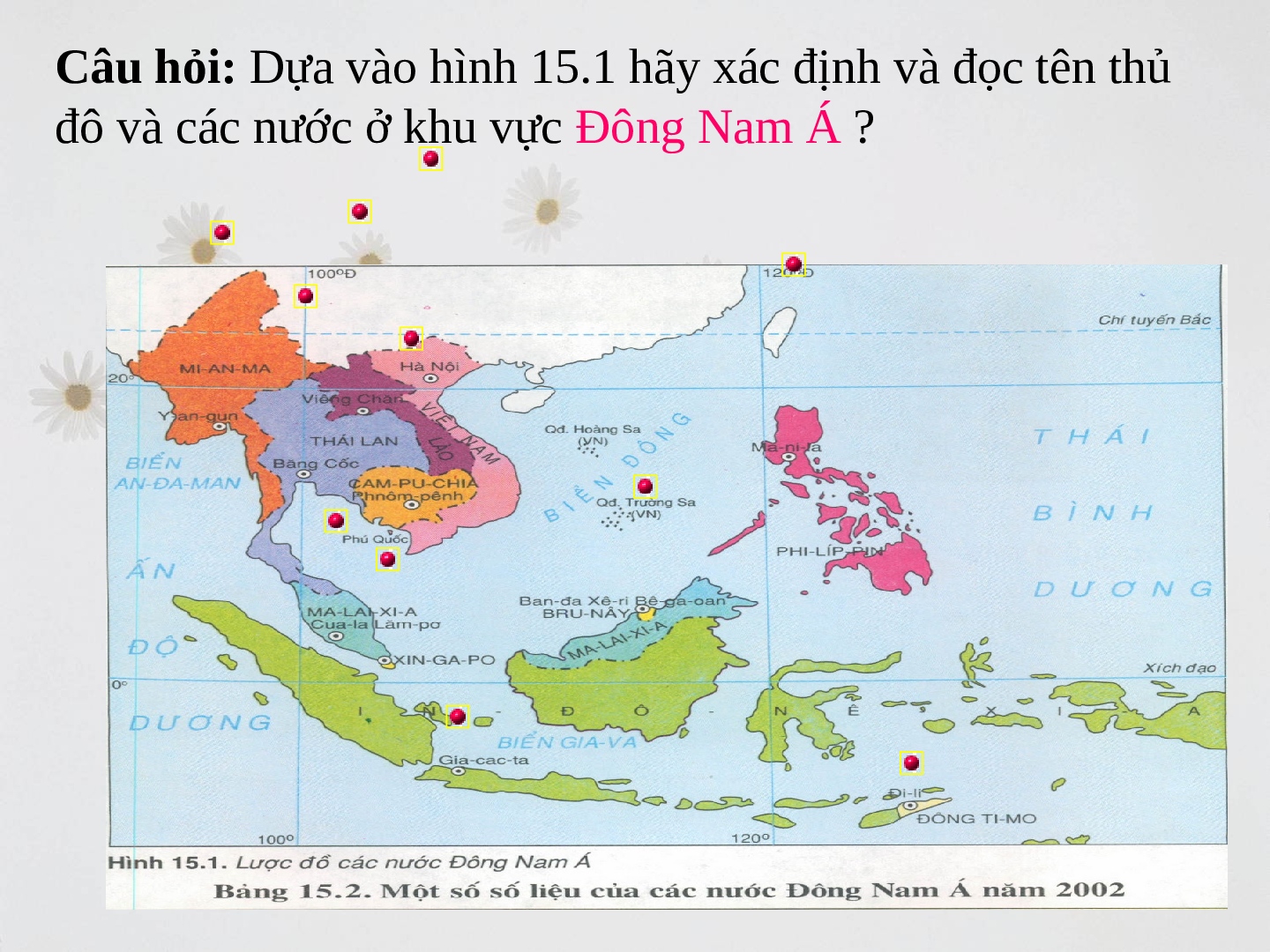 Giáo án Địa lí 8 Bài 15: Đặc điểm dân cư xã hội Đông Nam Á (trang 8)