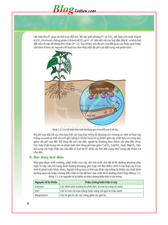 Sinh học lớp 11 Chuyên đề học tập Sinh học Kết nối tri thức pdf (trang 8)