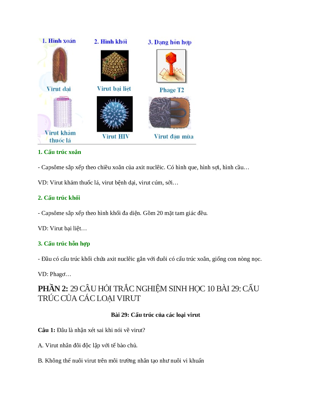 Sinh học 10 Bài 29 (Lý thuyết và trắc nghiệm): Cấu trúc của các loại virut (trang 3)