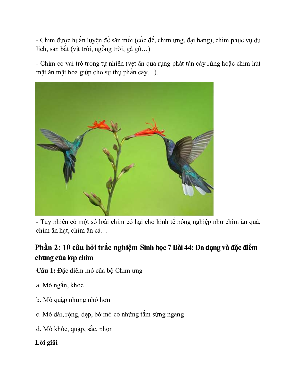 Sinh học 7 Bài 44 (Lý thuyết và trắc nghiệm): Đa dạng và đặc điểm chung của lớp chim (trang 6)