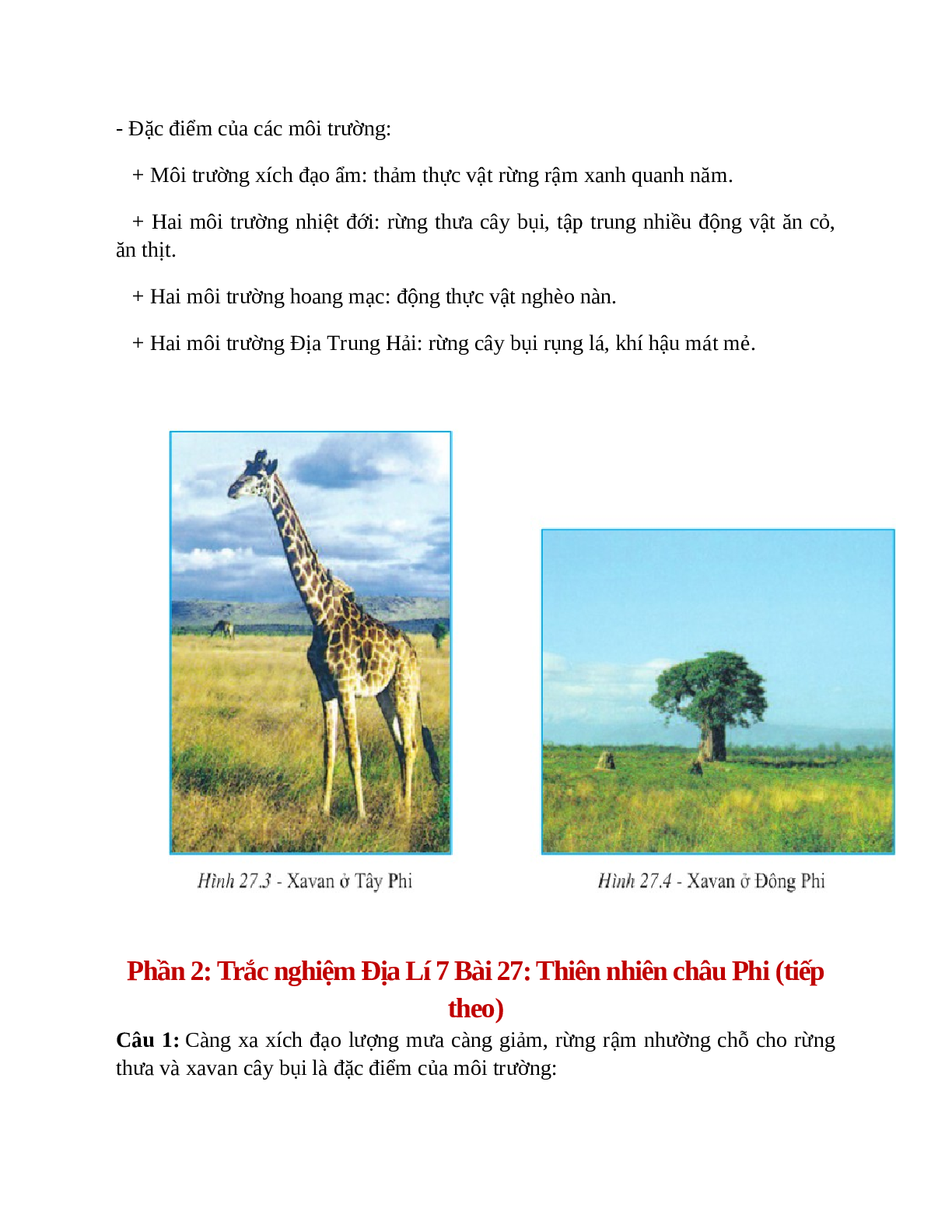 Địa Lí 7 Bài 27 (Lý thuyết và trắc nghiệm): Thiên nhiên châu Phi (tiếp theo) (trang 3)