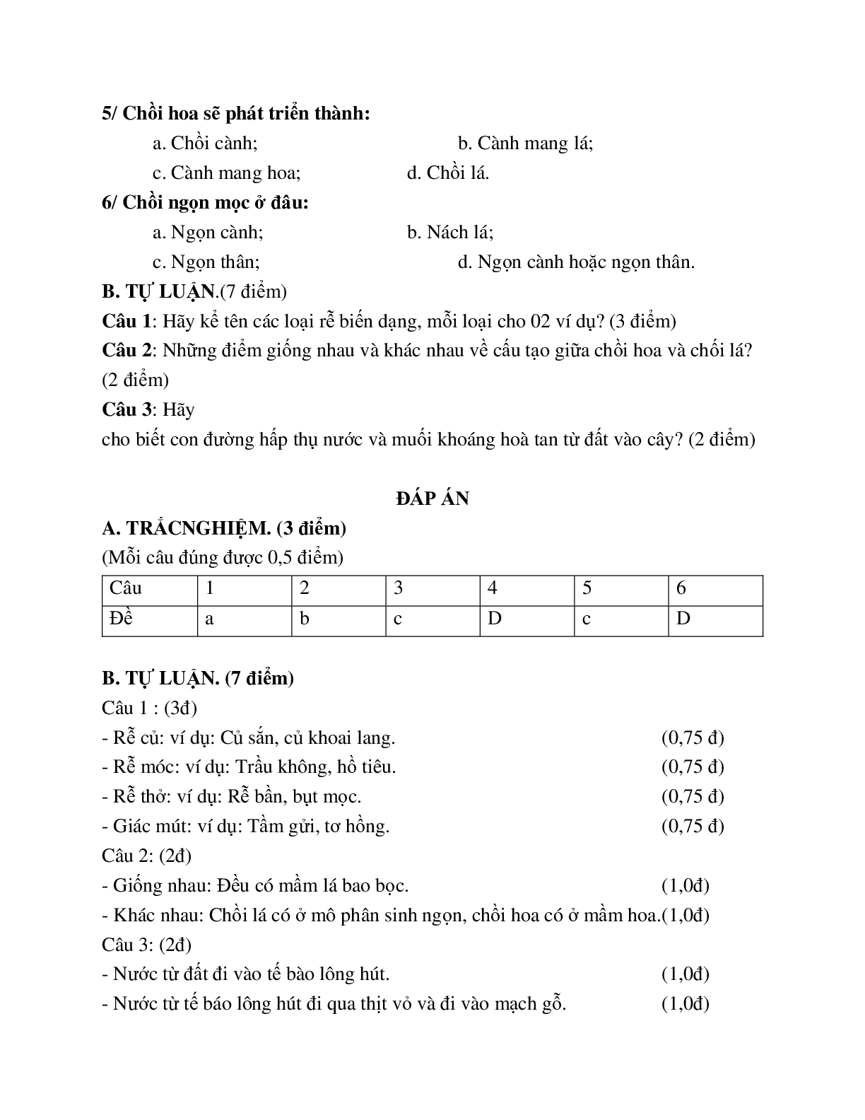 Giao Án Sinh Hoc 6 Ôn tập GHKI mới nhất - CV5555 (trang 7)