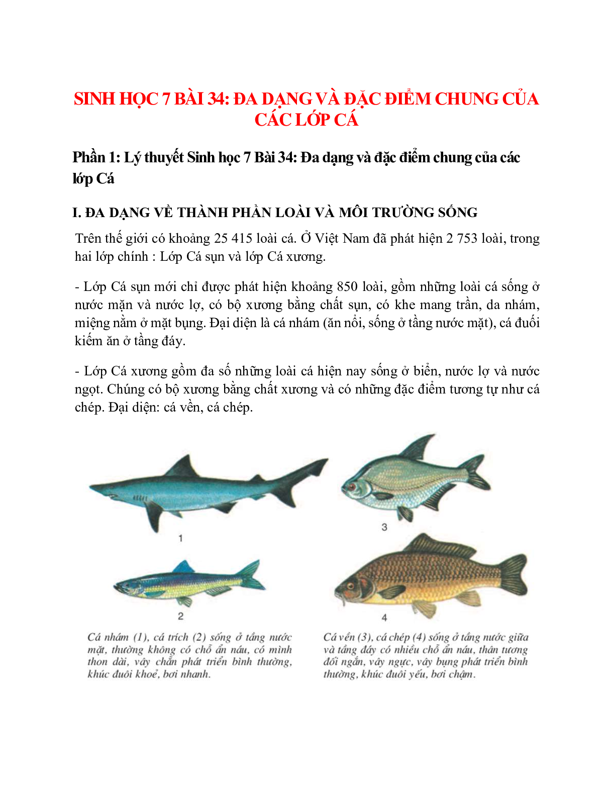 Sinh học 7 Bài 34 (Lý thuyết và trắc nghiệm): Đa dạng và đặc điểm chung của các lớp Cá (trang 1)