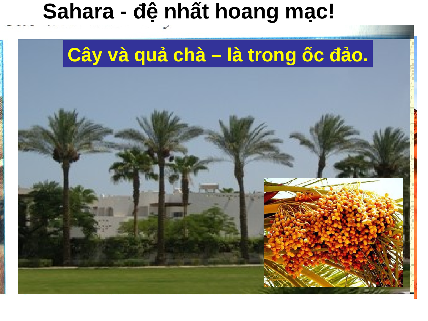 Giáo án Địa lí 7 Bài 32: Các khu vực Châu Phi (trang 6)