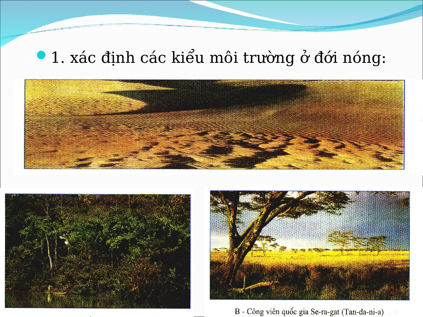 Bài giảng Địa lí 7 Tiết 11: Thực hành Nhận biết đặc điểm môi trường đới nóng (trang 3)