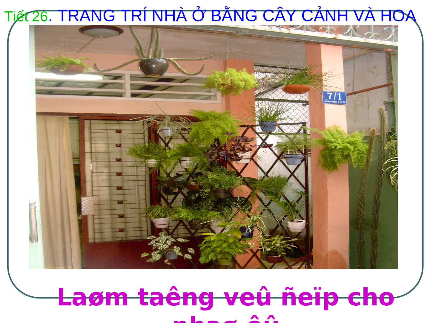 Bài giảng Công nghệ 6 Tiết 25: Trang trí nhà ở bằng cây cảnh và hoa (trang 8)