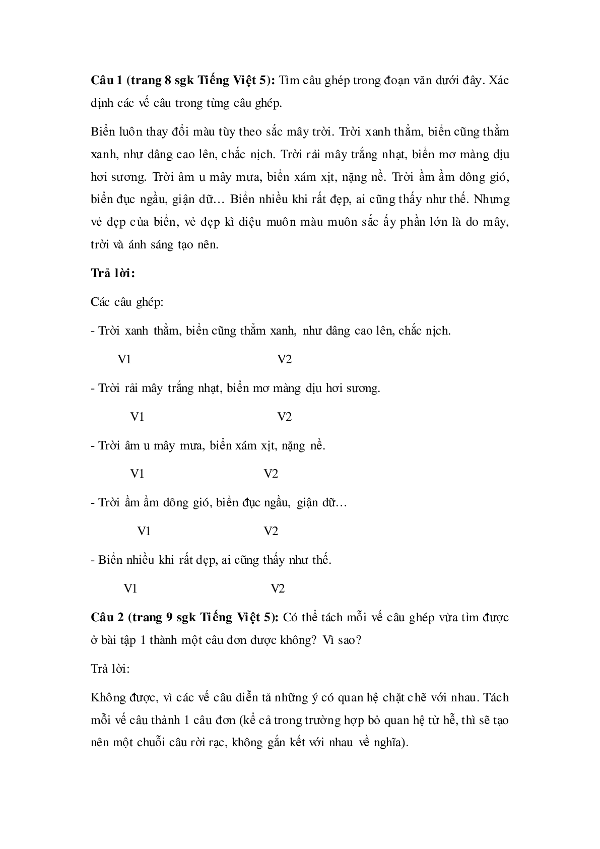 Soạn Tiếng Việt lớp 5: Luyện từ và câu: Câu ghép mới nhất (trang 2)