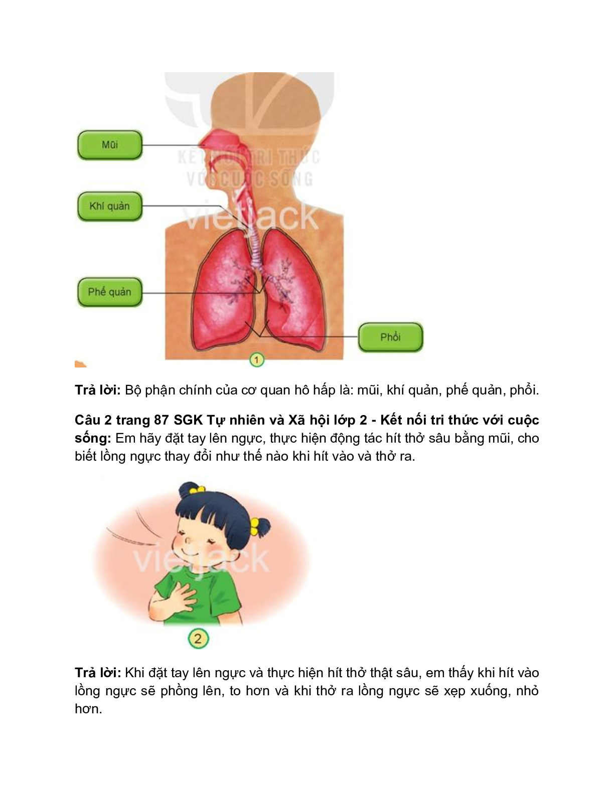 Giải SGK Tự nhiên và Xã hội lớp 2 trang 86, 87, 88, 89 Bài 23: Tìm hiểu cơ quan hô hấp – Kết nối tri thức (trang 2)