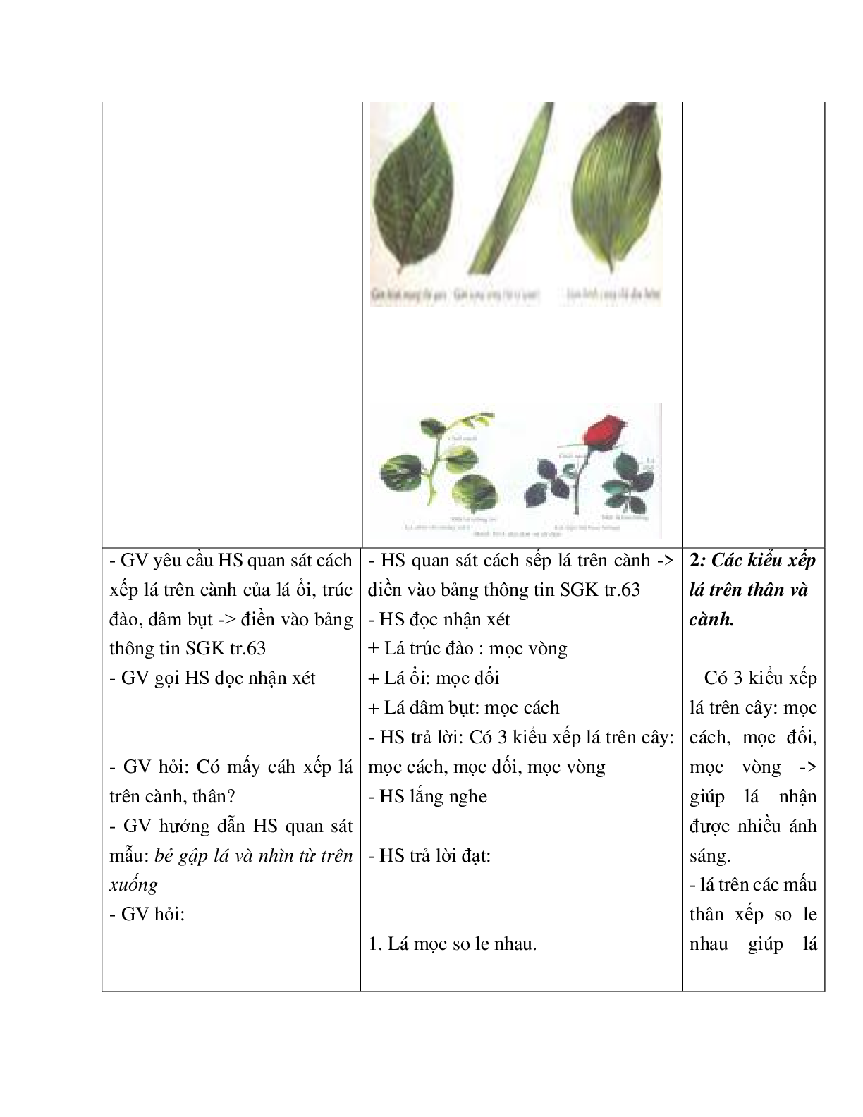 Giáo án Sinh học 6 Bài 19: Đặc điểm bên ngoài của lá mới nhất - CV5555 (trang 5)