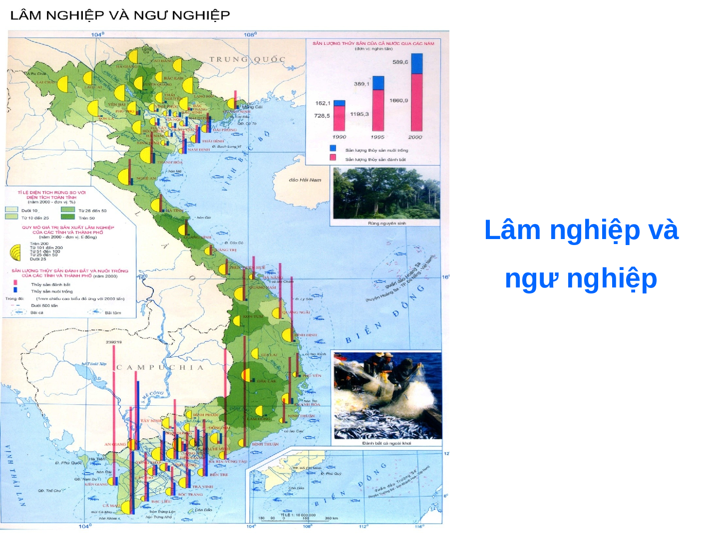 Giáo án Địa lý lớp 4 Bài 30: Khai thác khoáng sản và hải sản tại vùng biển Việt Nam (trang 4)