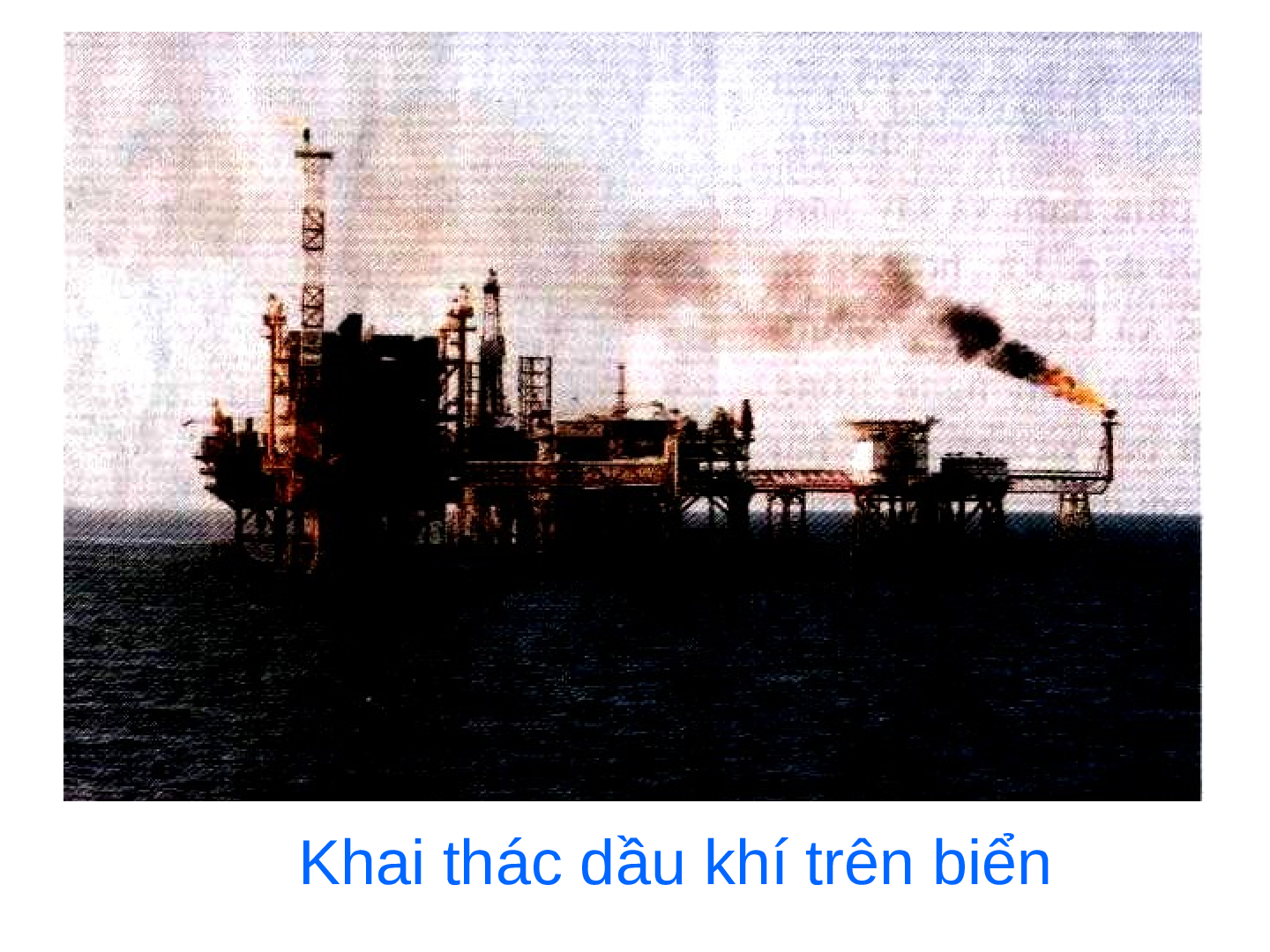 Giáo án Địa lý lớp 4 Bài 30: Khai thác khoáng sản và hải sản tại vùng biển Việt Nam (trang 6)