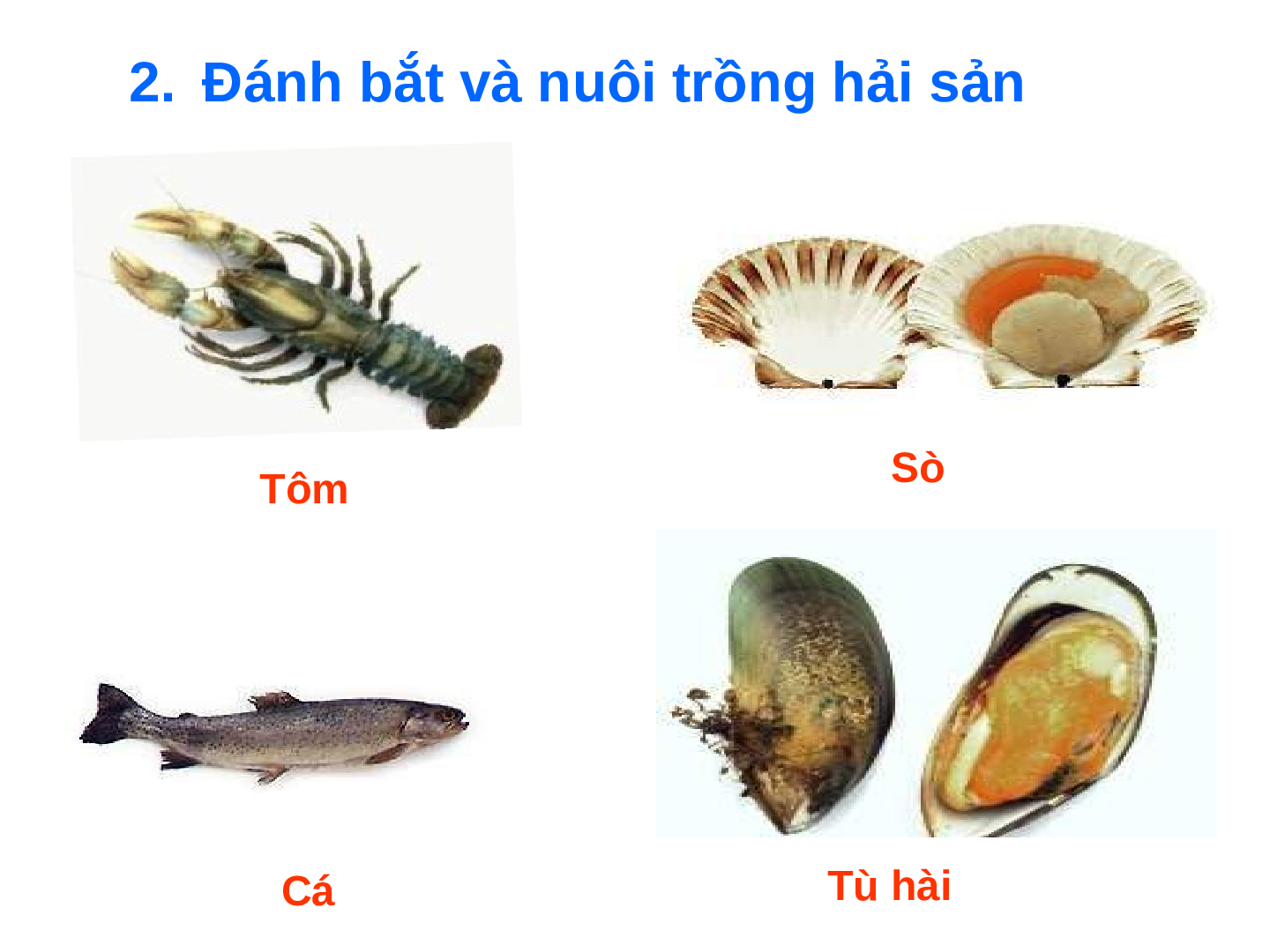 Giáo án Địa lý lớp 4 Bài 30: Khai thác khoáng sản và hải sản tại vùng biển Việt Nam (trang 8)