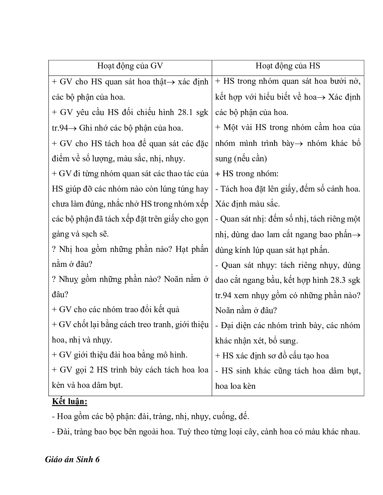 Giáo án Sinh học 6 Bài 28: Cấu tạo và chức năng của hoa mới nhất - CV5512 (trang 2)