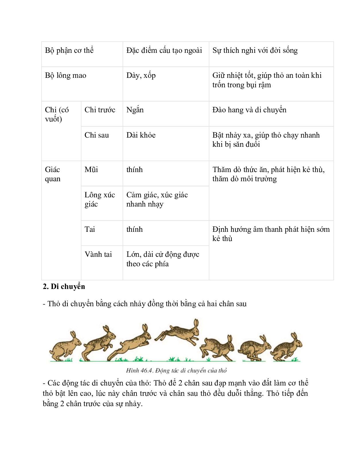 Sinh học 7 Bài 46 (Lý thuyết và trắc nghiệm): Thỏ (trang 5)