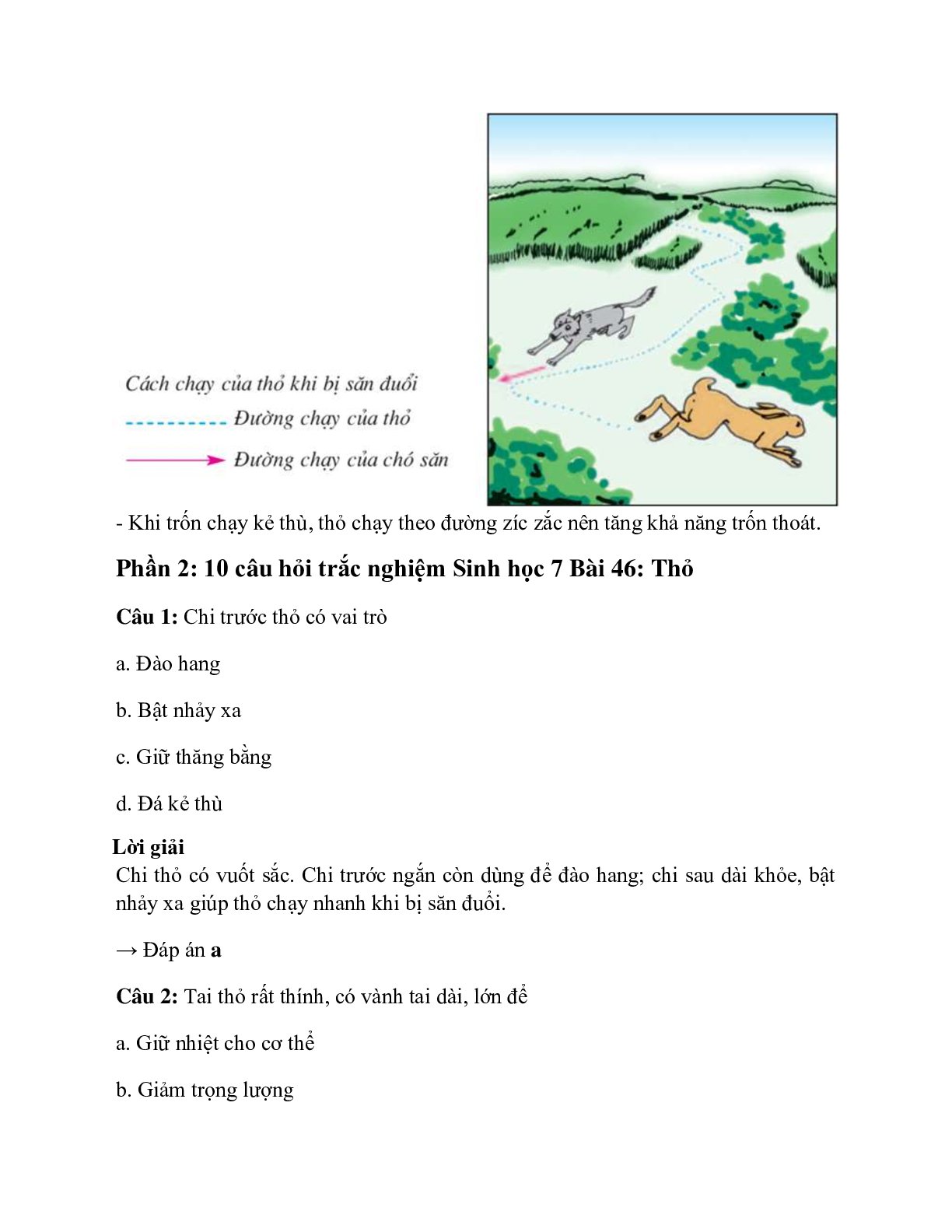 Sinh học 7 Bài 46 (Lý thuyết và trắc nghiệm): Thỏ (trang 6)