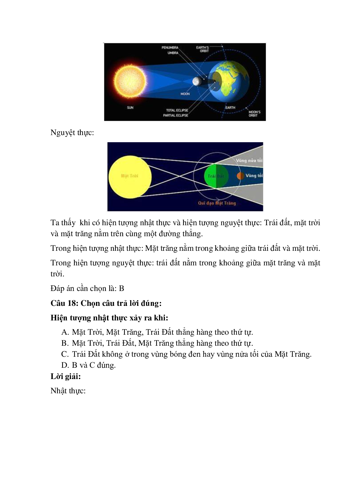 Trắc nghiệm Ứng dụng định luật truyền thẳng của ánh sáng có đáp án – Vật lí lớp 7 (trang 7)