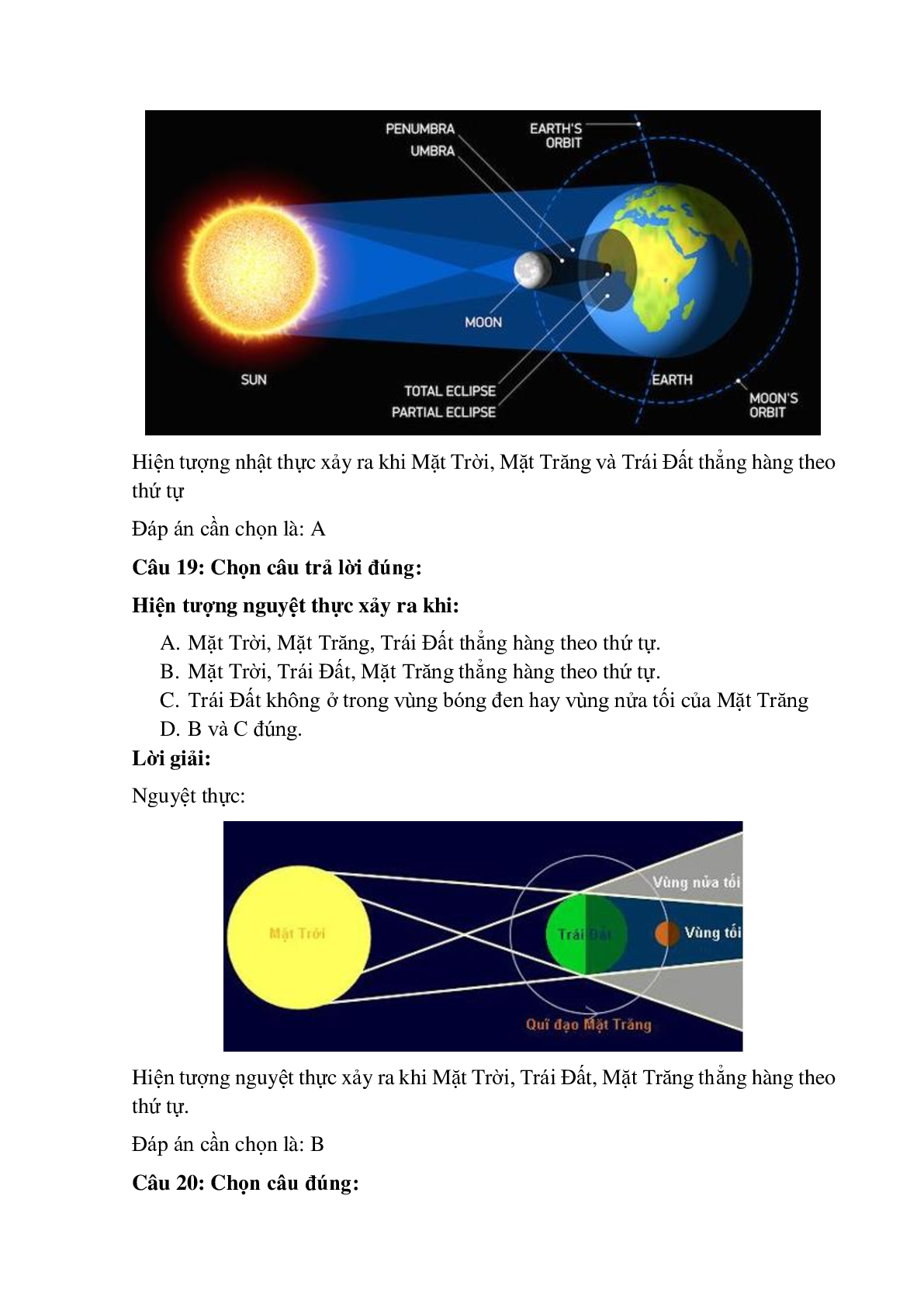 Trắc nghiệm Ứng dụng định luật truyền thẳng của ánh sáng có đáp án – Vật lí lớp 7 (trang 8)