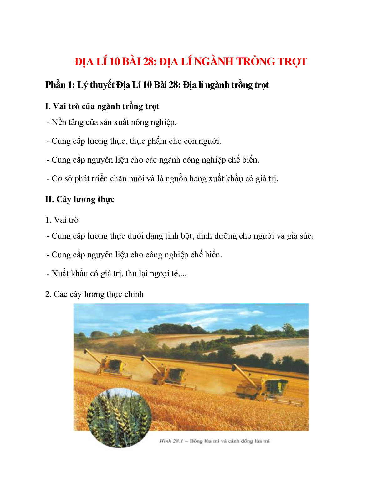 Địa Lí 10 Bài 28 (Lý thuyết và trắc nghiệm): Địa lí ngành trồng trọt (trang 1)