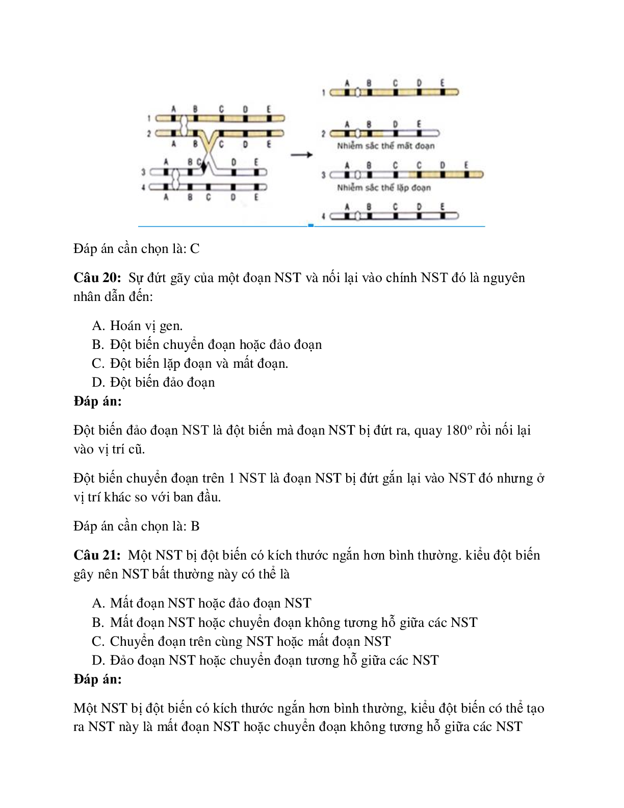 75 câu Trắc nghiệm Sinh học lớp 12 Bài 5 có đáp án 2023: Đột biến cấu trúc nhiễm sắc thể (trang 9)